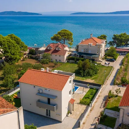 Siculi فيلة